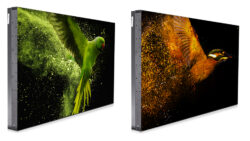 Barco LVD-5521C y KVD-5521C