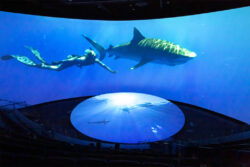 Christie en Aquarium of the Pacific