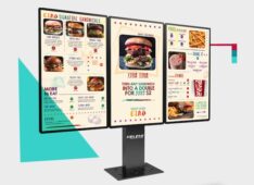 Delphi Display Endura 55X keyser