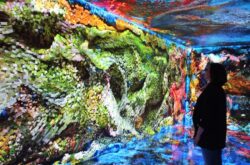 Foto Casa Batllo Gaudi