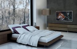 PPDS Philips MediaSuite Otrum