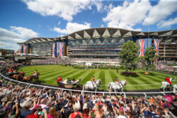 Ascot Racecourse Bose SEE Audio