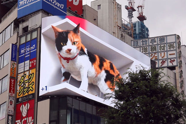 Cross revoluciona un enorme gato 3D en su pantalla comercial DOOH