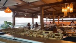 Nova Sunset Club QSC Earpro