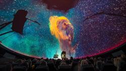 Stardome Auckland Harman