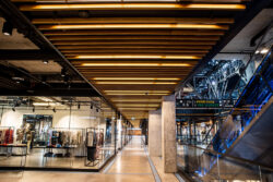 Bose en Elektronia Powisle