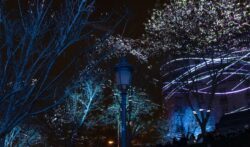 Planum et Lumen Festival LuzMadrid2021