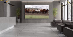 Calibre LEDFusion Pro A130C-15