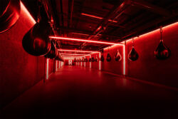 Martin Audio en 1Rabel Oxford Circus