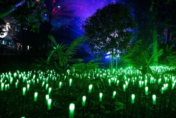 Naturaleza Encendida2021 Explorium