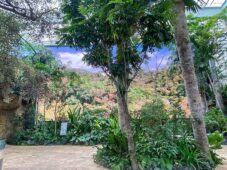 SNA Display Dallas World Aquarium