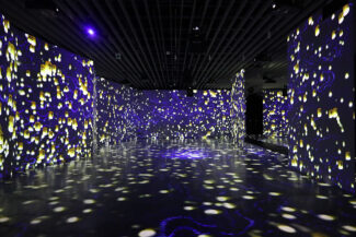 Digital Projection en Espiritu de Japon