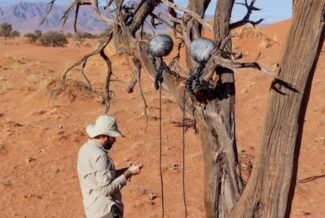 George Vlad Sennheiser