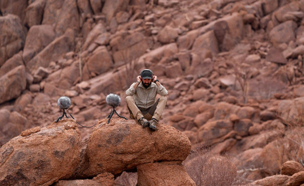 George Vlad Sennheiser