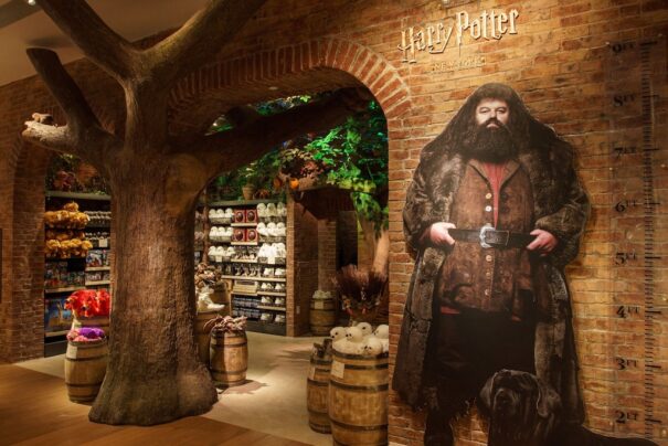 Harry potter NY Technically Creative Audiologic QSC