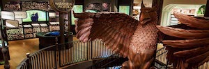 Audiologic crea el sonido envolvente para la tienda de Harry Potter en Nueva York