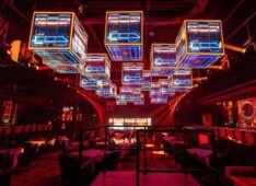 The Cheetah Das Audio idesign