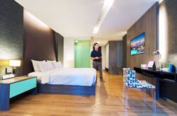 PPDS Philips MediaSuite 2022