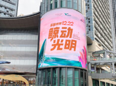 Infiled MV Blue Whale World Shenzhen