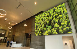 Sharp Nec en Avison Young