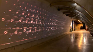 Christie dans Agusti Torrello Mata