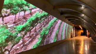 Christie dans Agusti Torrello Mata