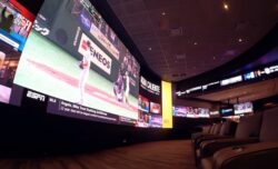 ADF Visual Display Peerless-AV