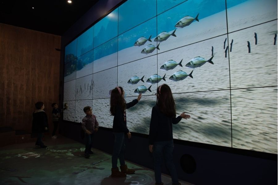 Edigma plein d'interactivité visuelle l'aquarium portugais Vasco de Gama