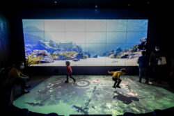 Acuario Vasco de Gama Edigma