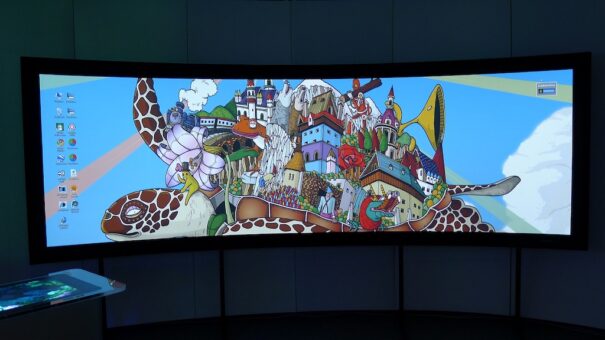 Scalable Display software calibracion