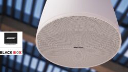 Black Box y Bose Pro