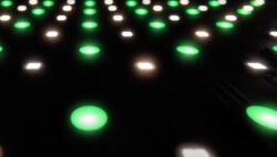 Earpro EES distribuye Lupo