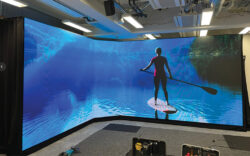 Vogels en Trainers House