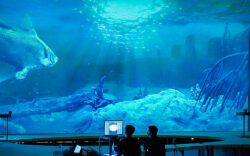 AV Stumpfl en Museo de Ciencias Hong Kong dinosaurios