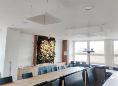 Magnetron y Sennheiser en Universidad de Silesia