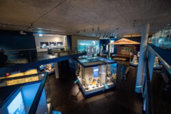 L Acoustics en Museo Samurai Berlin