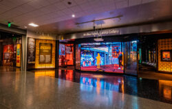 Planar en Galeria Latina Familia Molina