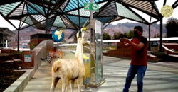 Avanzia Parque Culturas Bolivia