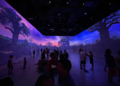 Electrosonic Holoplot Illuminarium