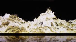 teamLab Gold Waves Liantronics