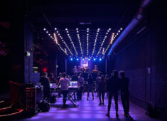 Alisa Larchenko FLEX Viena Alcons