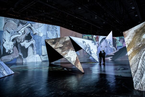 Imagine Picasso Sold Out Panasonic