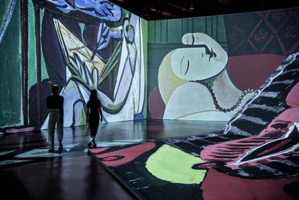 Imagine Picasso Sold Out Panasonic
