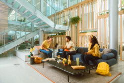 TD Synnex incluye Zoom