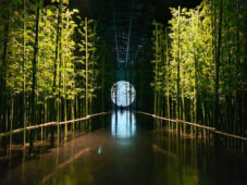 Damyang Moon Christie