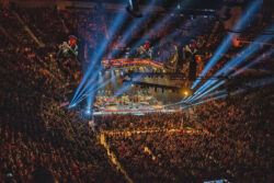 Elation con Bruce Springsteen