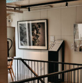 Fig at Malcha Powersoft