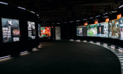 Formula 1 The exhibition