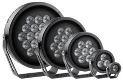 Anolis Calumma MultiChip