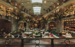 Lynx Pro Audio en La Diva